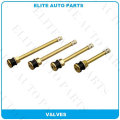 EPDM Tyre Valve for Car (TR41)